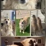 20250610 224248 scaled.webp