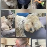 20250617 092244 scaled.webp