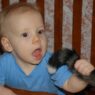 Baby CatTail