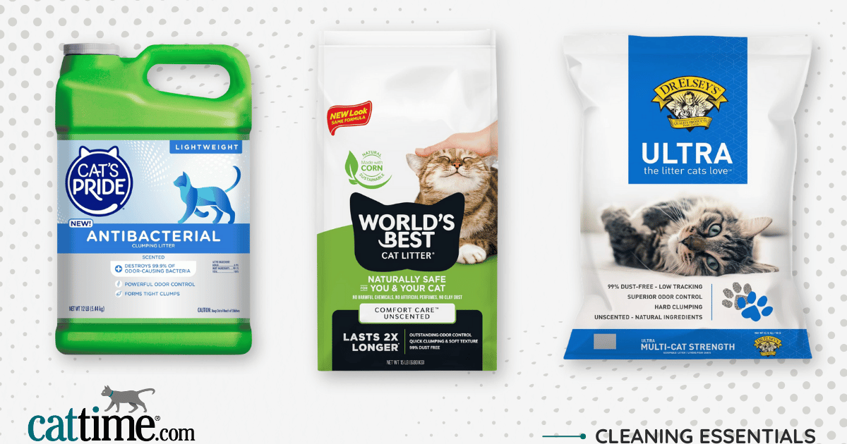 Best Cat Litter