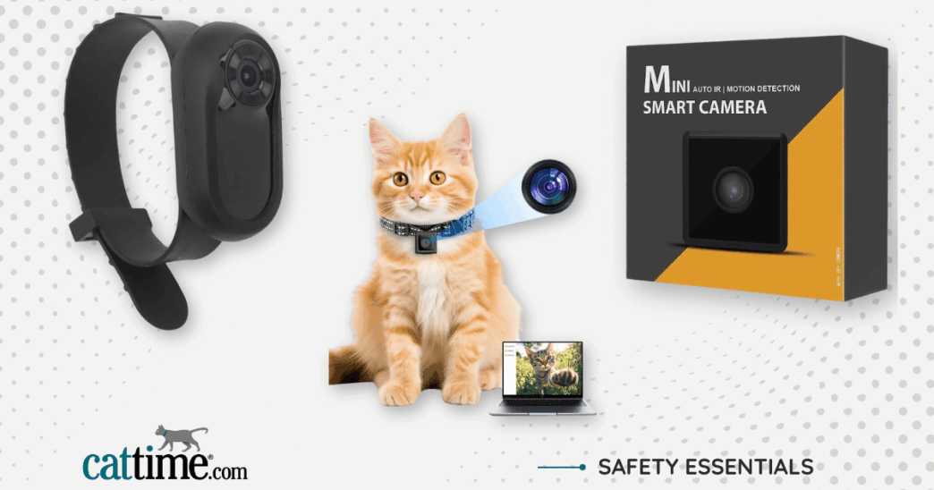Best Cat collar cameras