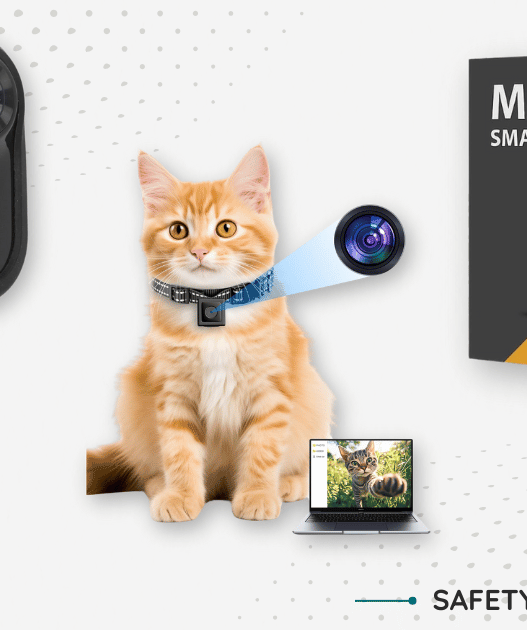 Best Cat collar cameras