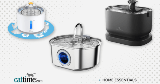 Best Cat water fountains