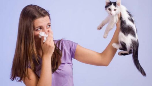 Best Pets For People With Allergies Girl Holding Tissue To Her Nose Because of Cat Allergies