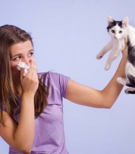 Best Pets For People With Allergies Girl Holding Tissue To Her Nose Because of Cat Allergies