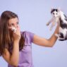 Best Pets For People With Allergies Girl Holding Tissue To Her Nose Because of Cat Allergies