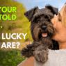 Blog Headers 2025 06 06T124901.530