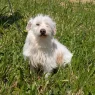 Cuco3 scaled.webp
