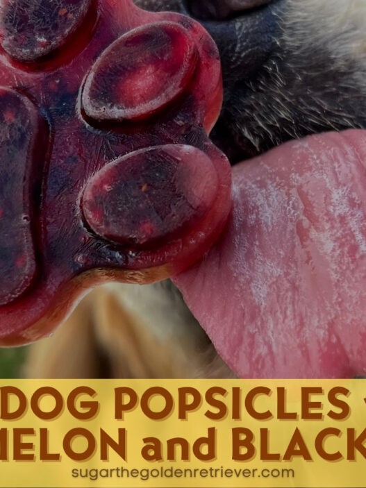 DIY Dog Popsicles Watermelon and Blackberries