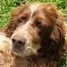 Elis main photo.webp