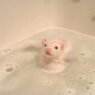 Ferret bath time