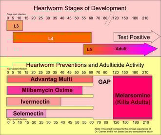 Heartworm Disease Therapeutic Gaps1