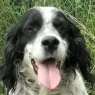 Penelope Main Photo.webp
