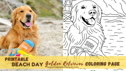 Printable Beach Day Golden Retriever Coloring Page
