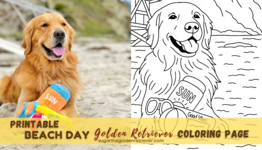 Printable Beach Day Golden Retriever Coloring Page