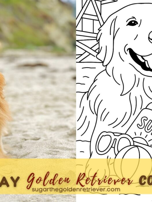 Printable Beach Day Golden Retriever Coloring Page