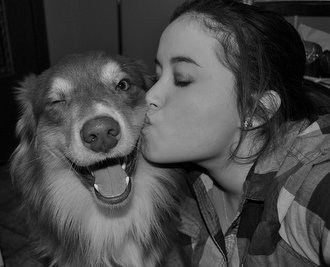 Purebred Breeders reviews dog happiness
