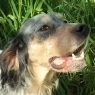 Selva Main photo.webp