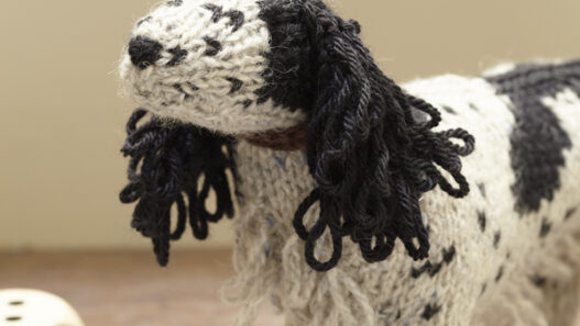 Spaniel