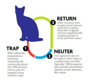 TNR b