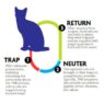 TNR b