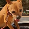 VideoCapture 20250527 205856 scaled.webp