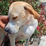 VideoCapture 20250612 170633 scaled.webp