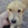 att.1upMaQOe90ITSS7fV8zDwvGjouJCpbdch yTP qDZOc scaled.webp