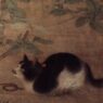 china cat