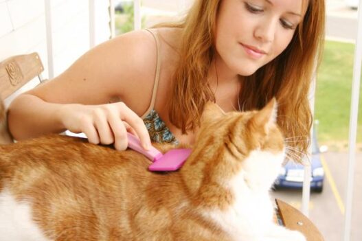 cleaning20cat