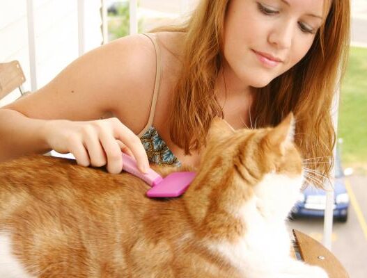 cleaning20cat