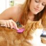 cleaning20cat
