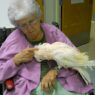 cockatoo