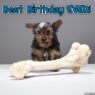 dog bone text