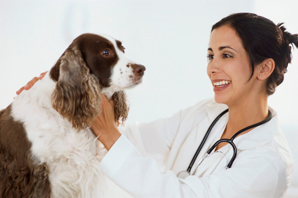 dog care11 c9f3c0db abfe 4851 92d7 9209422b4f98