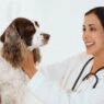 dog care11 c9f3c0db abfe 4851 92d7 9209422b4f98