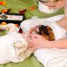 dog getting massage1