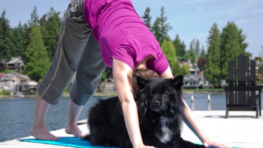 doga downward dogpose img