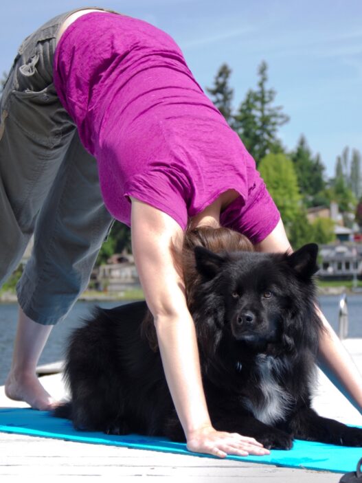 doga downward dogpose img