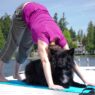 doga downward dogpose img