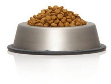 dogfood 2