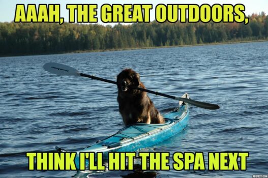 doggy kayak text