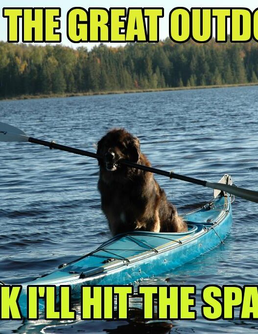 doggy kayak text