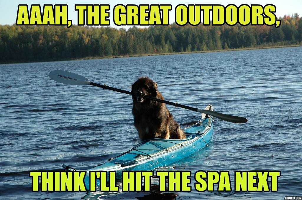 doggy kayak