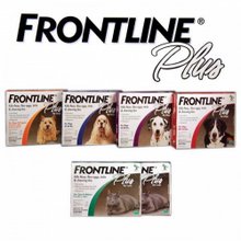 frontline plus collage 600