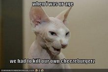 funny pictures old cat talks about his childhood