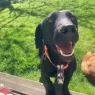 monty1 scaled.webp