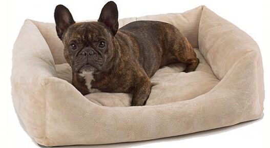 pet dreams eco friendly bumper dog bed 650x290