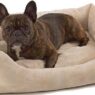pet dreams eco friendly bumper dog bed 650x290