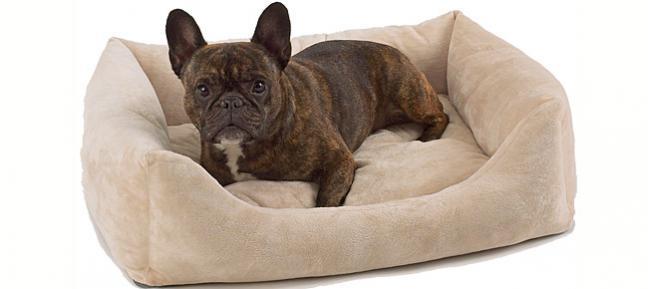 pet dreams eco friendly bumper dog bed